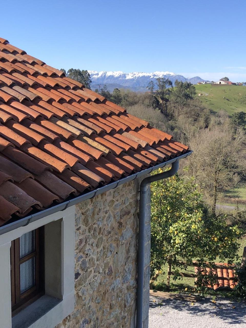 Casa Rural Trebol4Hojas San Pedro  Esterno foto