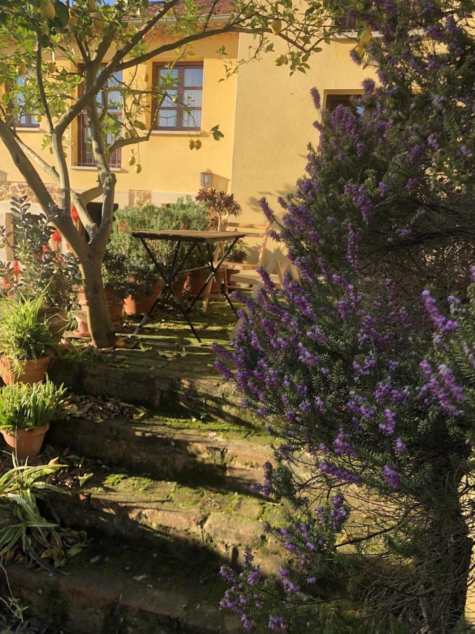 Casa Rural Trebol4Hojas San Pedro  Esterno foto